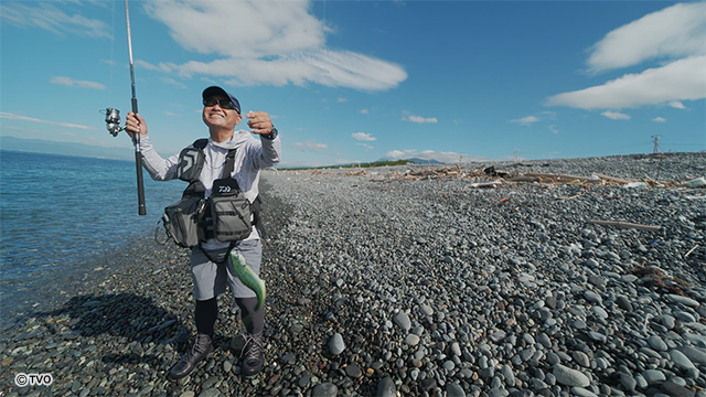 external_image