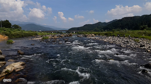 external_image