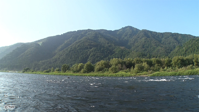 external_image