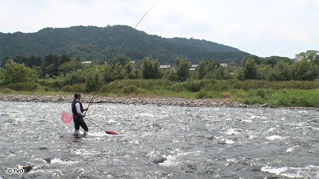 external_image