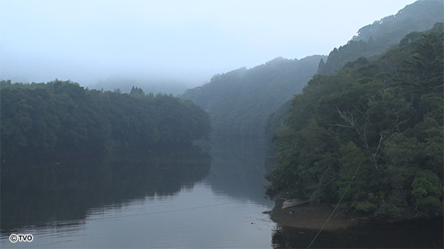 external_image