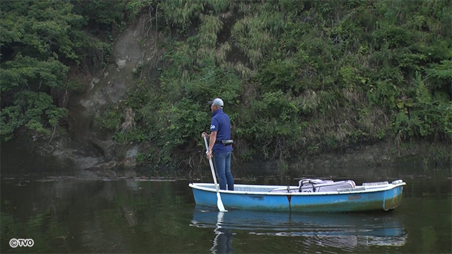 external_image
