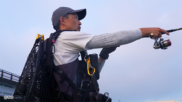 external_image