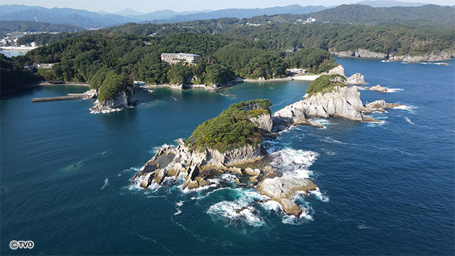 external_image