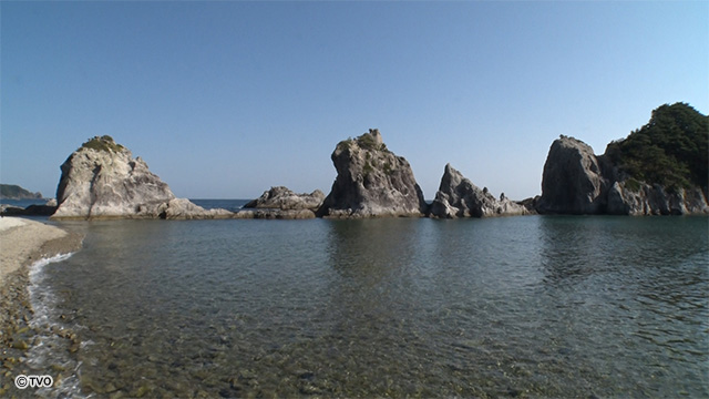 external_image