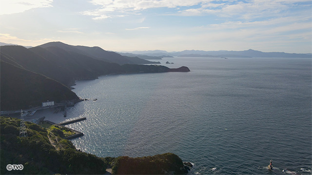 external_image