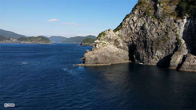 external_image