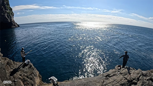 external_image