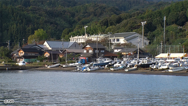 external_image