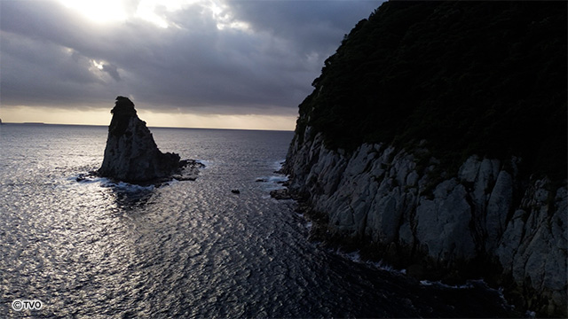 external_image