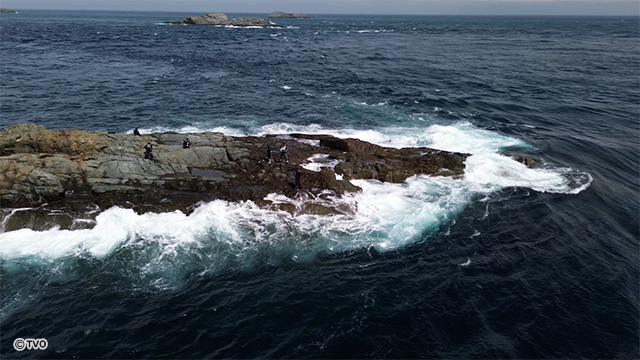 external_image