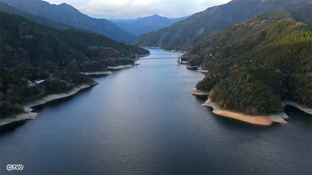 external_image