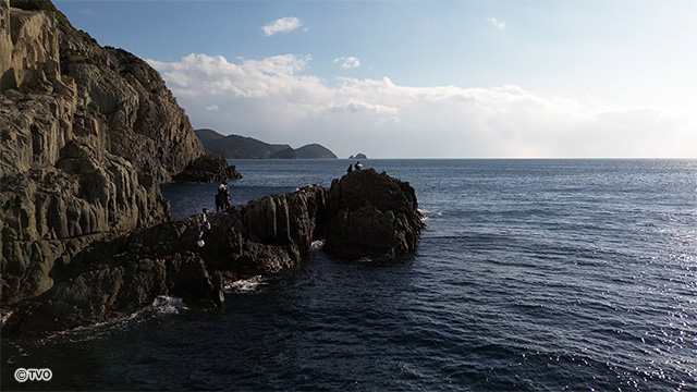 external_image