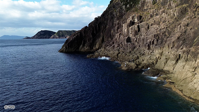 external_image