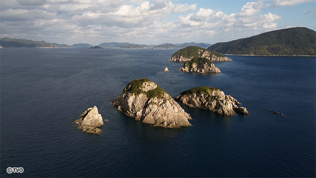 external_image