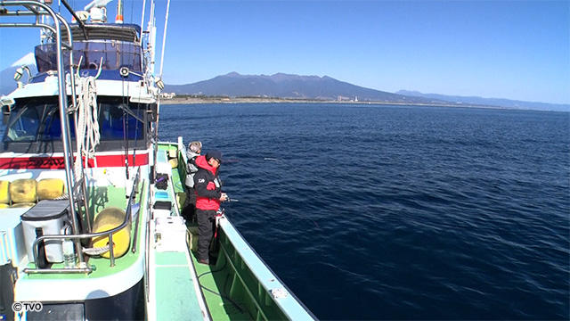 external_image