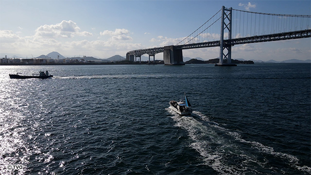 external_image