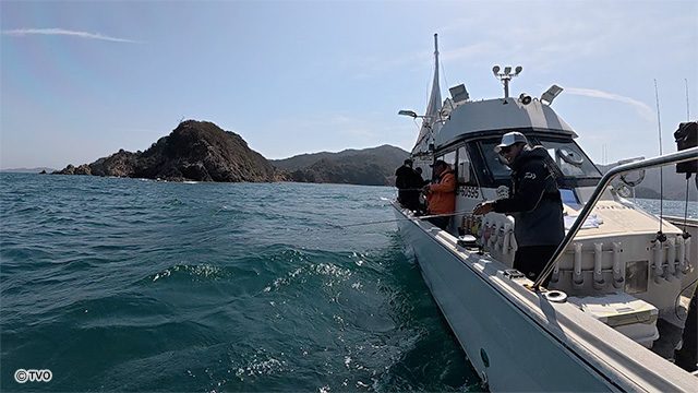 external_image
