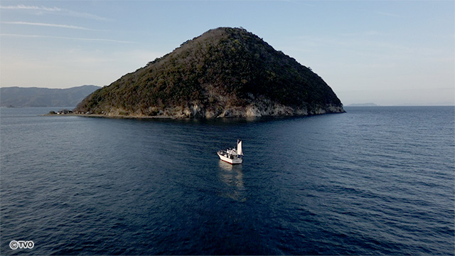 external_image