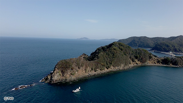 external_image