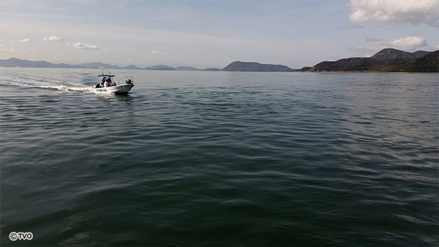 external_image