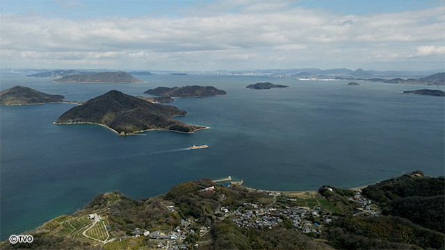 external_image