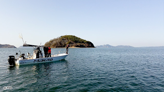 external_image