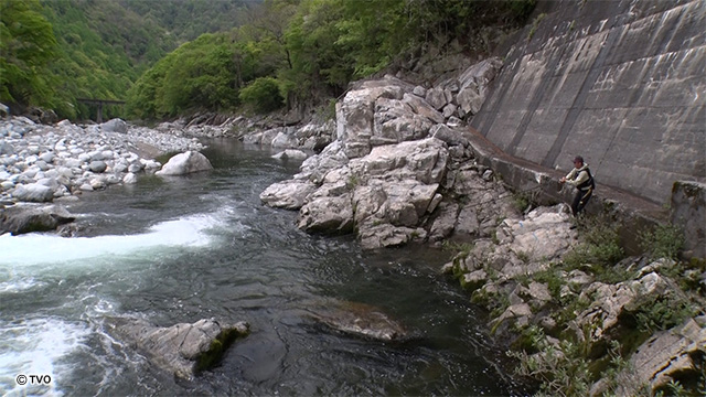 external_image