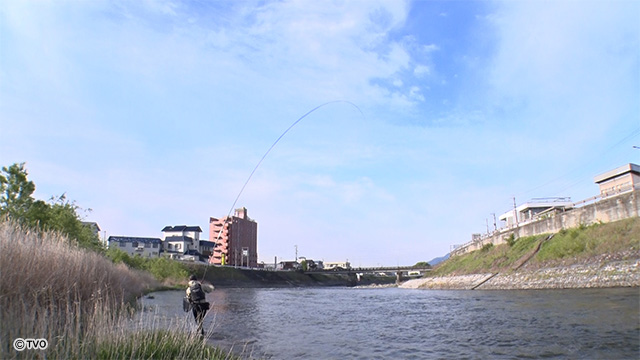 external_image