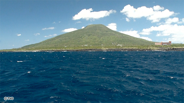 external_image