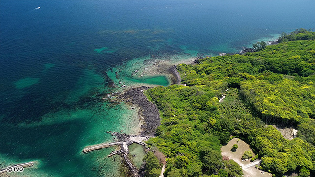 external_image