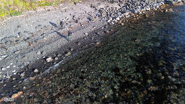 external_image