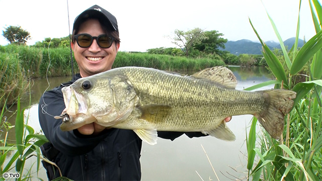 external_image