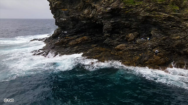 external_image