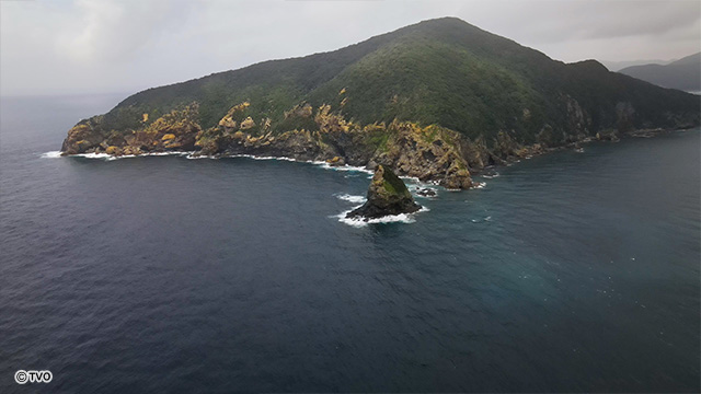 external_image