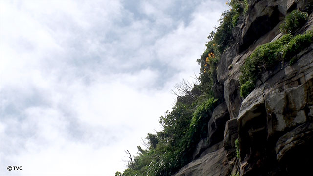 external_image