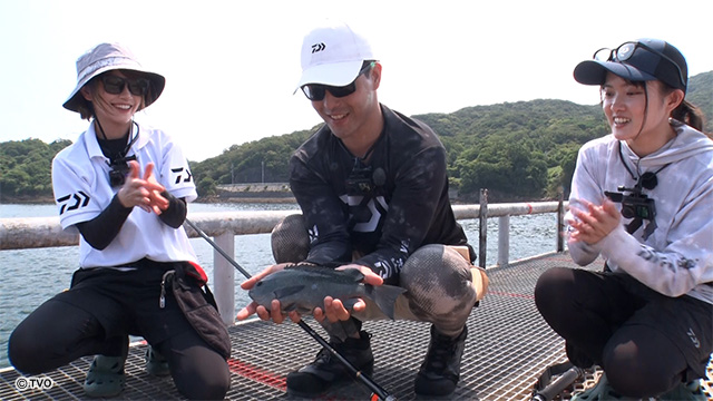 external_image