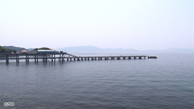 external_image