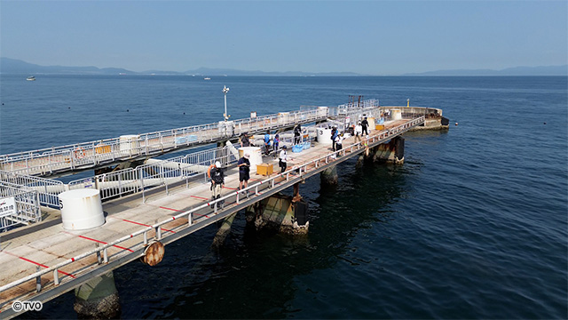 external_image