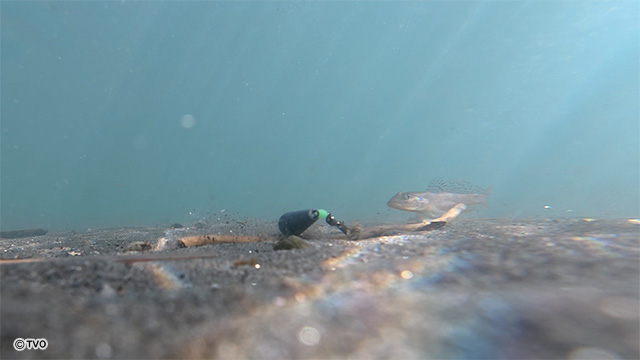 external_image external_image